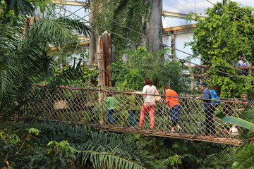 Hanging bridge with People in Background in zoo in leipzig in germany