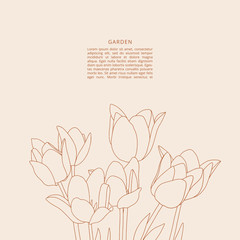 Instagram template post with hand-drawn tulips line art. Vector flower element