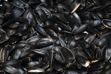 Sunflower seeds background, copy space. Template.