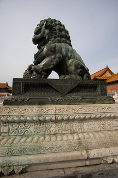 Bronze Chinese Lion Statue in Inner areas of Palace Museum, Forbidden City,  Beijing, China