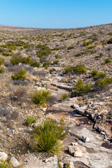 Creek Through Desert Near Carlsbad Caverns National Park