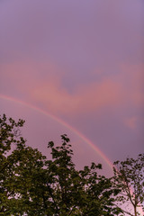 regenbogen baum wolken