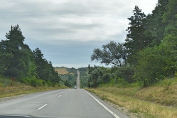 Fototapeta premium The road along the trees against the sky
