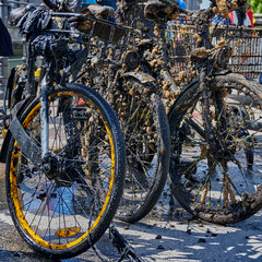 Bicycles and other objects completely covered with mud, algae and barnacles were recovered by committed citizens from the Spree river in central Berlin.
