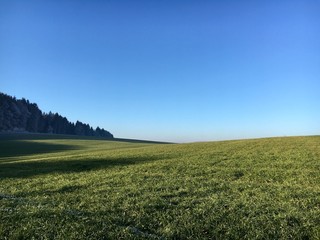 green field and blue sky