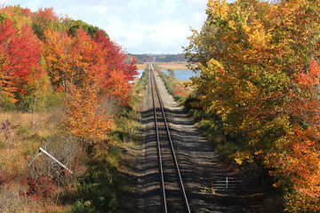 Train tracks in the fall with no one around