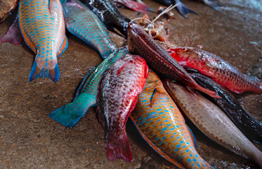Freshly caught tropical fish selling in the Sir Selwyn Selwyn Clarke Market at Victoria city, Seychelles. Fresh seafood, fish background. Top view