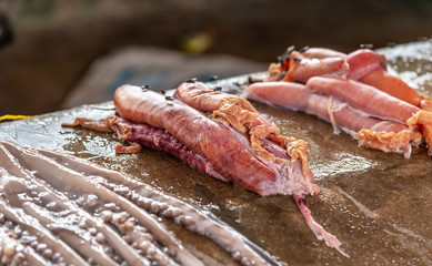 Fish guts with may flies on stone counter at the street fish market.