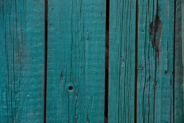 texture of an old fence painted green. Grungy, dried.