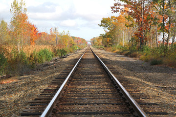 Fototapeta na wymiar Train tracks in the fall with no one around