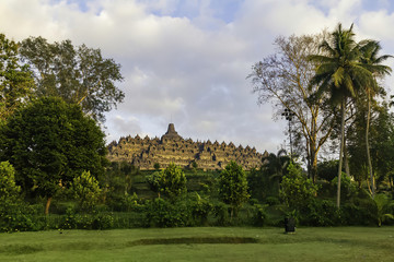 Fototapeta na wymiar Vegetation, trees and palms covering Borobudur Buddhist Temple in Central Java, Indonesia