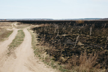 Black burnt grass in a field along the road near the village. Dangerous consequences of spring set fire of dry grass in the field. Fire situation