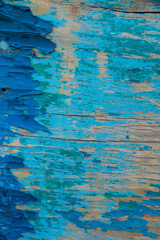 Texture of wood with old color blue and white background.