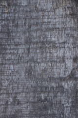 wood old oak - tile able. Surface eroded by time, Old wood background. Grungy cracked wooden board by closeup.