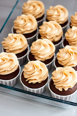 Ultimate chocolate dough cupcakes with peanut butter cream cheese frosting. Selective focus.
