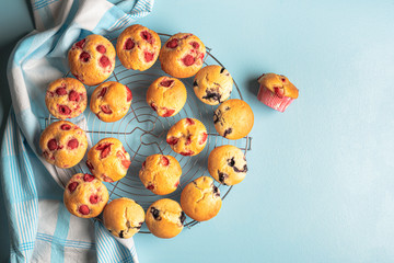 Fruit muffins on a cooling rack. Blueberry and strawberry muffins