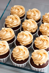 Ultimate chocolate dough cupcakes with peanut butter cream cheese frosting. Selective focus.