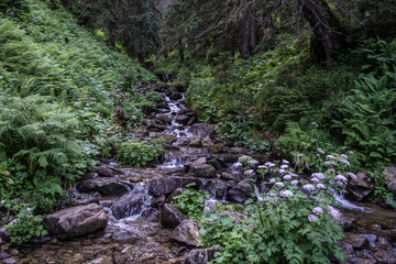 Our walk in the mountains