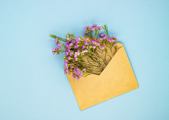 Beautiful spring purple flowers in a postal envelope on a blue paper background