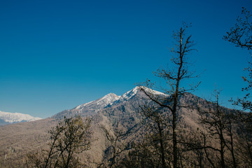 mountain, landscape, sky, mountains, nature, snow, blue, tree, trees, clouds, winter, panorama, view, travel, forest, scenic, cloud, alps, peak, colorado, rock