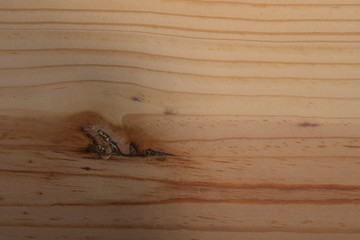 close up of wood texture