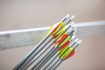 Many feathering arrows from a bow in the quiver