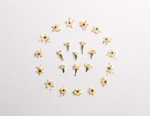 Little white flower circle decoration