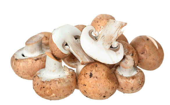 portabella mushroom