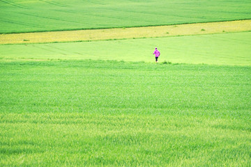 Durch die Felder joggen