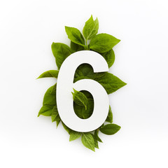 Number six with green leaves. Minimal summer concept. Flat lay.