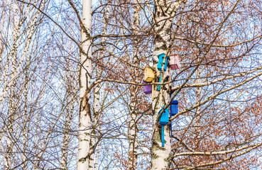 Multicoloured birdhouses on a birch tree in the park