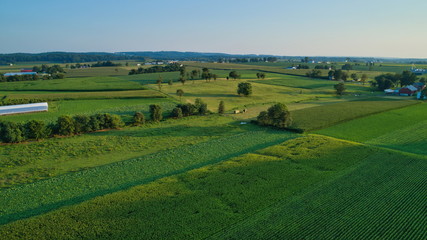 Fototapeta na wymiar Aerial view of farm lands and corn crop and fields in late afternoon