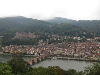 Neckartal in Heidelberg