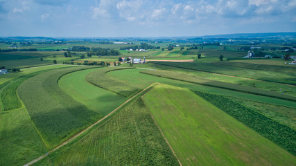 Fototapeta na wymiar Aerial view of green farmlands and rolling crops growing on a beautiful sky on a sunny countryside