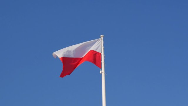 Polish Flag 4K