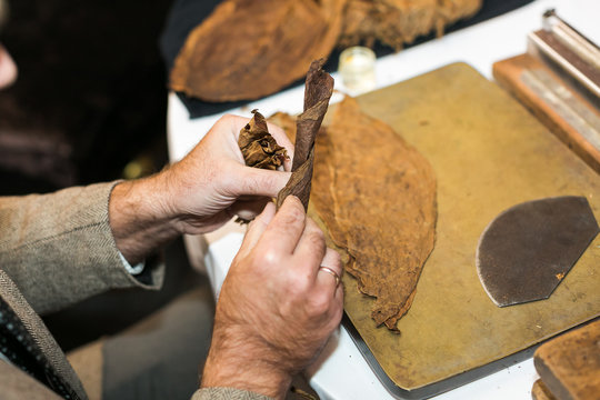 Folding of the dried tobacco leaf into a high-quality Havana cigar