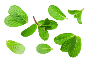 Fresh mint leaves isolated on white background. top view