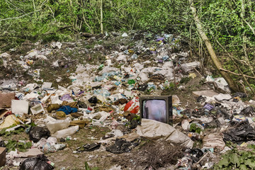 A large amount of trash polluting our environment. Old TV disposed in the woods on the grass is rotting and polluting nature. 