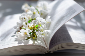 Open book with blossom branch of cherry-tree