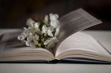 Open book with blossom branch of cherry-tree