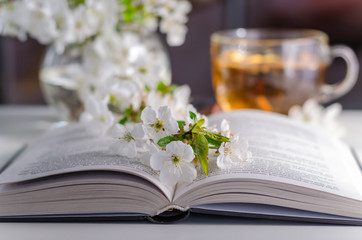Open book with blossom branch of cherry-tree