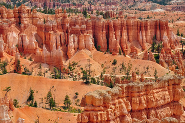 Bryce National Park