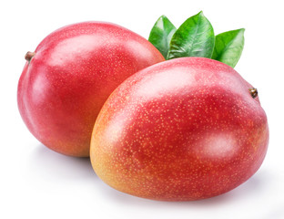 Mango fruit with mango leaves. Isolated on a white background.