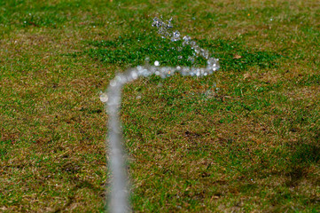 A stream of water irrigates a green lawn