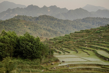 Reisterassen, Pu Luong, Vietnam