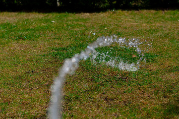 A stream of water irrigates a green lawn