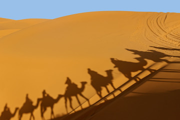 Fototapeta na wymiar landscape of camel riding in golden sahara desert