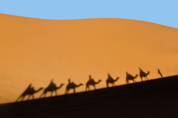 Fototapeta na wymiar landscape of camel riding in golden sahara desert