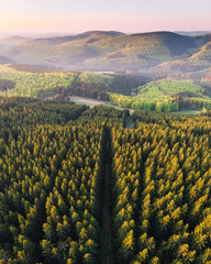Fototapeta na wymiar Luftaufnahme von den Wäldern des Sauerlandes bei Sonnenaufgang, Winterberg, Sauerland, Deutschland