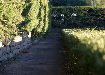 path in the park